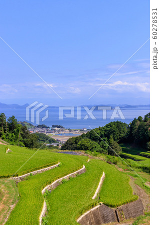 谷水の棚田　長崎県南島原市 60278531
