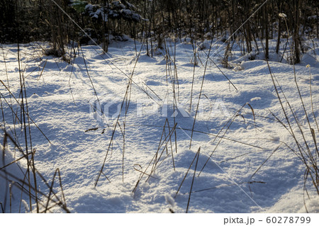 winter time of year winter time of year 60278799