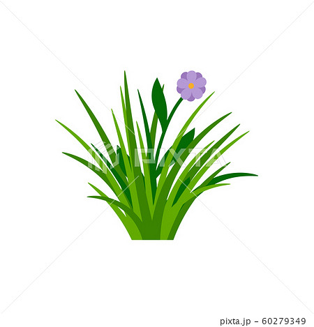Bush of green grass with flower 60279349