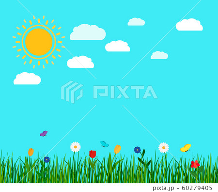 Spring flowers and butterfly landscape 60279405