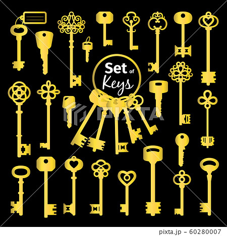 Vintage antique golden key collection 60280007