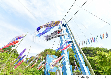 竜神峡こいのぼり祭りの写真素材