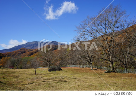 早池峰山が見えるタイマグラキャンプ場 早池峰山が見えるタイマグラキャンプ場 60280730