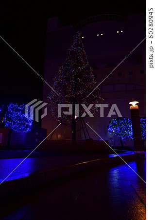 ヒタチスターライトイルミネーションの写真素材