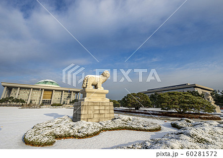 韓国の風景 国会 国会議事堂 60281572