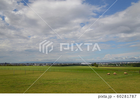 羊ケ丘展望台からの眺望(北海道札幌市) 60281787