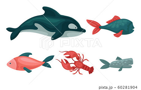 Collection of Sea Animals, Ocean Creatures and Aquatic Animals Vector Illustration 60281904