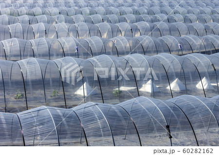 ビニールハウス 60282162