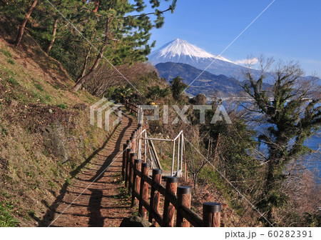 さった峠からの富士山-6478 60282391