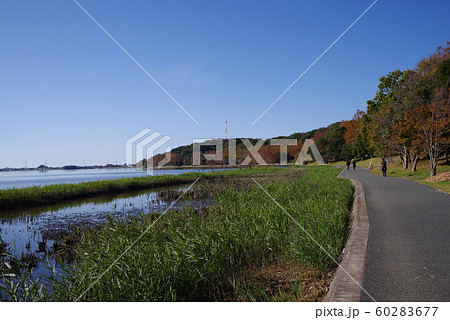 佐鳴湖の遊歩道 佐鳴湖の遊歩道 60283677
