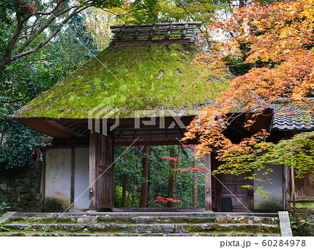 京都 法然院 京都 法然院 60284978