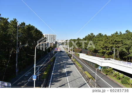 平塚駅南口 608号線 平塚駅南口 608号線 60285736