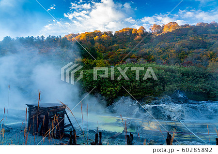 View in Tamagawa onsen in the morning with sunlight shine on the colorful autumn foliage forest on the mountain and white steam flow from hot water on the ground in Towada Hachimantai National Park View in Tamagawa onsen in the morning with sunlight shine on the colorful autumn foliage forest on the mountain and white steam flow from hot water on the ground in Towada Hachimantai National Park 60285892