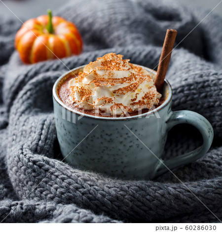 Pumpkin latte with spices. Boozy cocktail with whipped cream. Grey knitted background. Close up. Pumpkin latte with spices. Boozy cocktail with whipped cream. Grey knitted background. Close up. 60286030