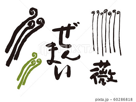 ぜんまい　筆文字 60286818