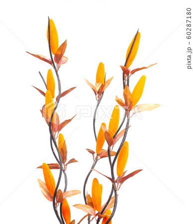 Orange artificial flowers on a white background, isolate 60287180