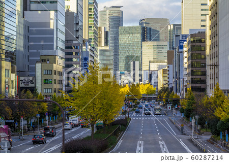 愛知県　名古屋都市風景　桜通イチョウ並木 60287214