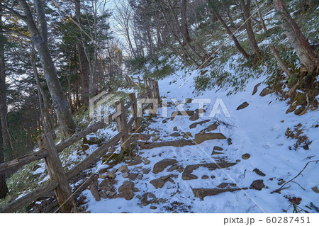 冬の日光 半月山(はんげつやま)狸窪からの1400m付近の登山道 60287451