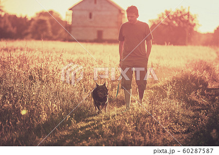A man walks with a dog in a field at sunset 60287587