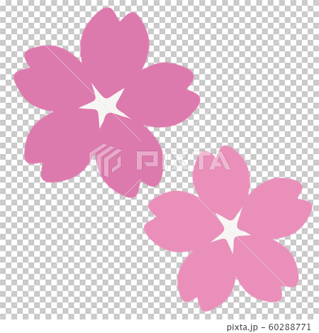 櫻花 60288771
