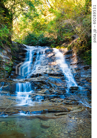 養老渓谷 （万代の滝） 秋 60289531