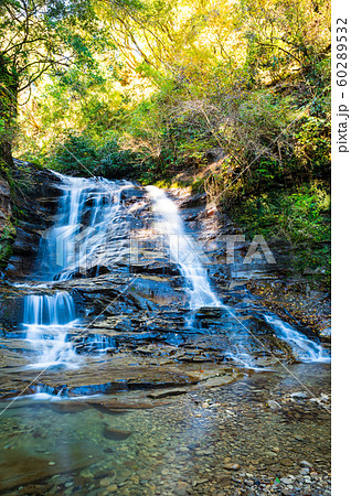 養老渓谷 （万代の滝） 秋 60289532