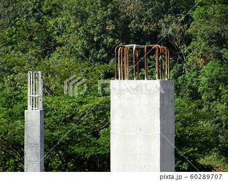 Building reinforcement concrete structure at the construction site. Post, beam and slab constructed using timber formwork by construction workers.  60289707