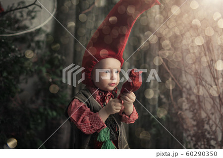 Little christmas gnome in a red cap and vest. 60290350