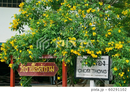 タイ王国バンコク都ジョムトーン地区にある国鉄ジョムトン（ジョムトーン）駅 60291102