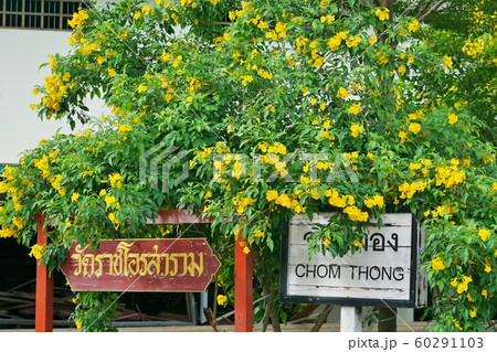 CHOM THONG station in Bangkok, Thailand 60291103