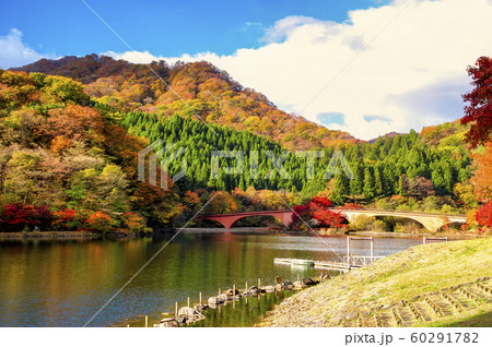 紅葉の碓氷湖 紅葉の碓氷湖 60291782