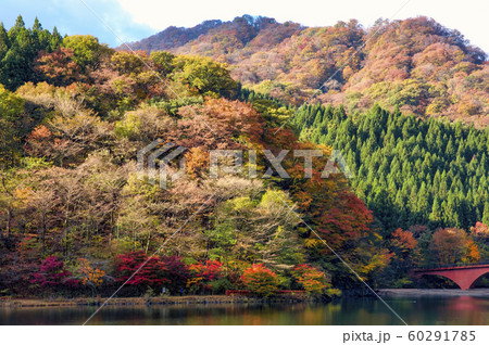 紅葉の碓氷湖 60291785