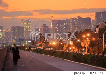 浦安の夕暮れどきの風景 浦安の夕暮れどきの風景 60291844
