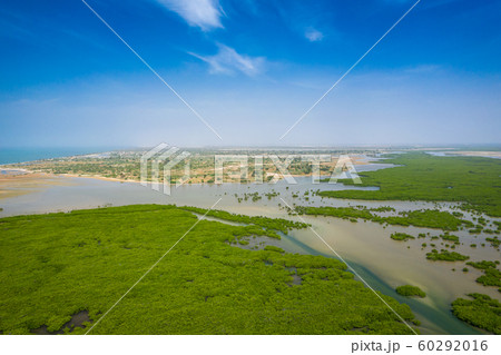 Aerial view of mangrove forest in the  Saloum 60292016