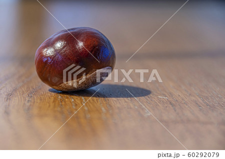 close-up detail view of a freshly harvested 60292079