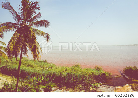 Aerial view of the Pink Lake Retba or Lac Rose in Aerial view of the Pink Lake Retba or Lac Rose in 60292236