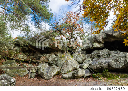 Nature walking during Autumn at the Fontainebleau 60292980