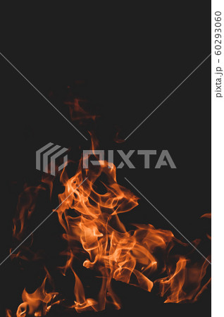 Red orange bonfire. Black vertical background. Red orange bonfire. Black vertical background. 60293060