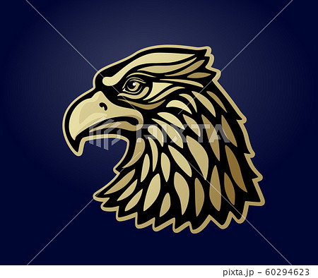 Eagle head msacot isolated on dark background. Vector illustration Eagle head msacot isolated on dark background. Vector illustration 60294623