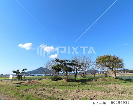 志登史跡墓群（福岡県糸島市） 60294955
