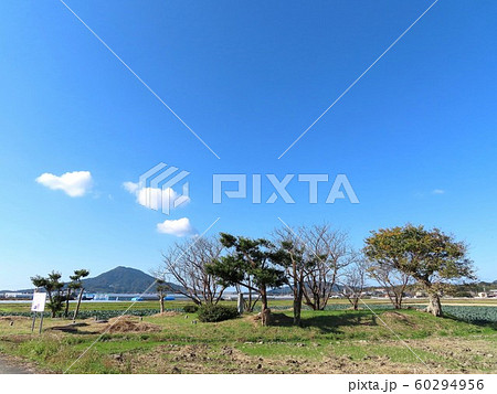 志登史跡墓群（福岡県糸島市） 60294956