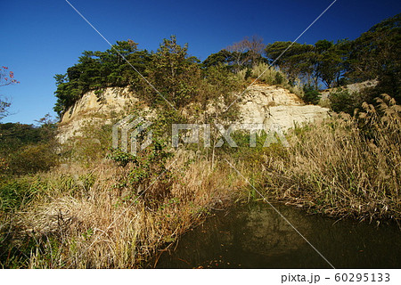 横浜 本牧市民公園 横浜 本牧市民公園 60295133