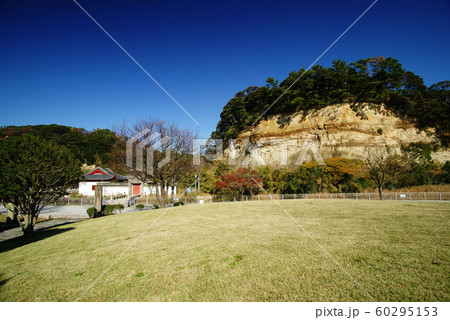 上海横浜友好園 60295153