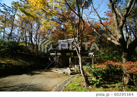 横浜三渓園 海岸門 横浜三渓園 海岸門 60295364