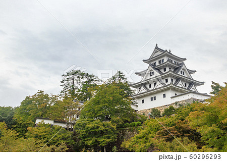 群上八幡城　岐阜県郡上市 60296293