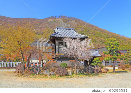 春の大蔵経寺山と大蔵経寺の鐘楼堂 60296531