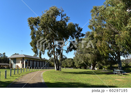 西オーストラリア　ヤンチャツプ国立公園 60297195