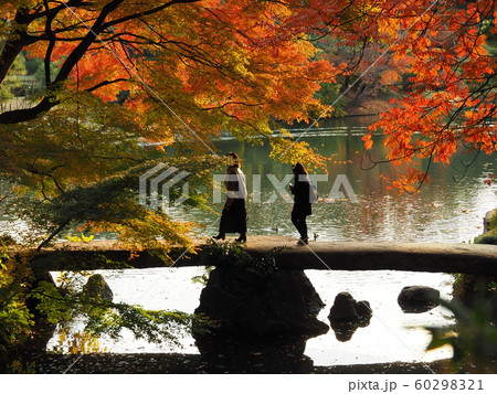 紅葉シーズン 紅葉シーズン 60298321