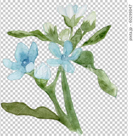 Blue Star 60299847