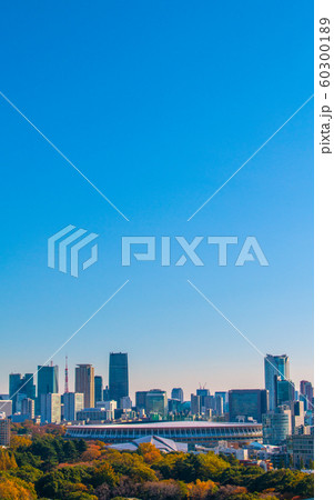 日本の東京都市景観 新生・国立競技場などを望む。11月30日に完成した=11月30日撮影 日本の東京都市景観 新生・国立競技場などを望む。11月30日に完成した=11月30日撮影 60300189